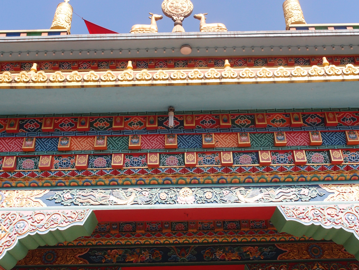 2018-01-22 10 Uhr - Boudha Walk (Foto) 